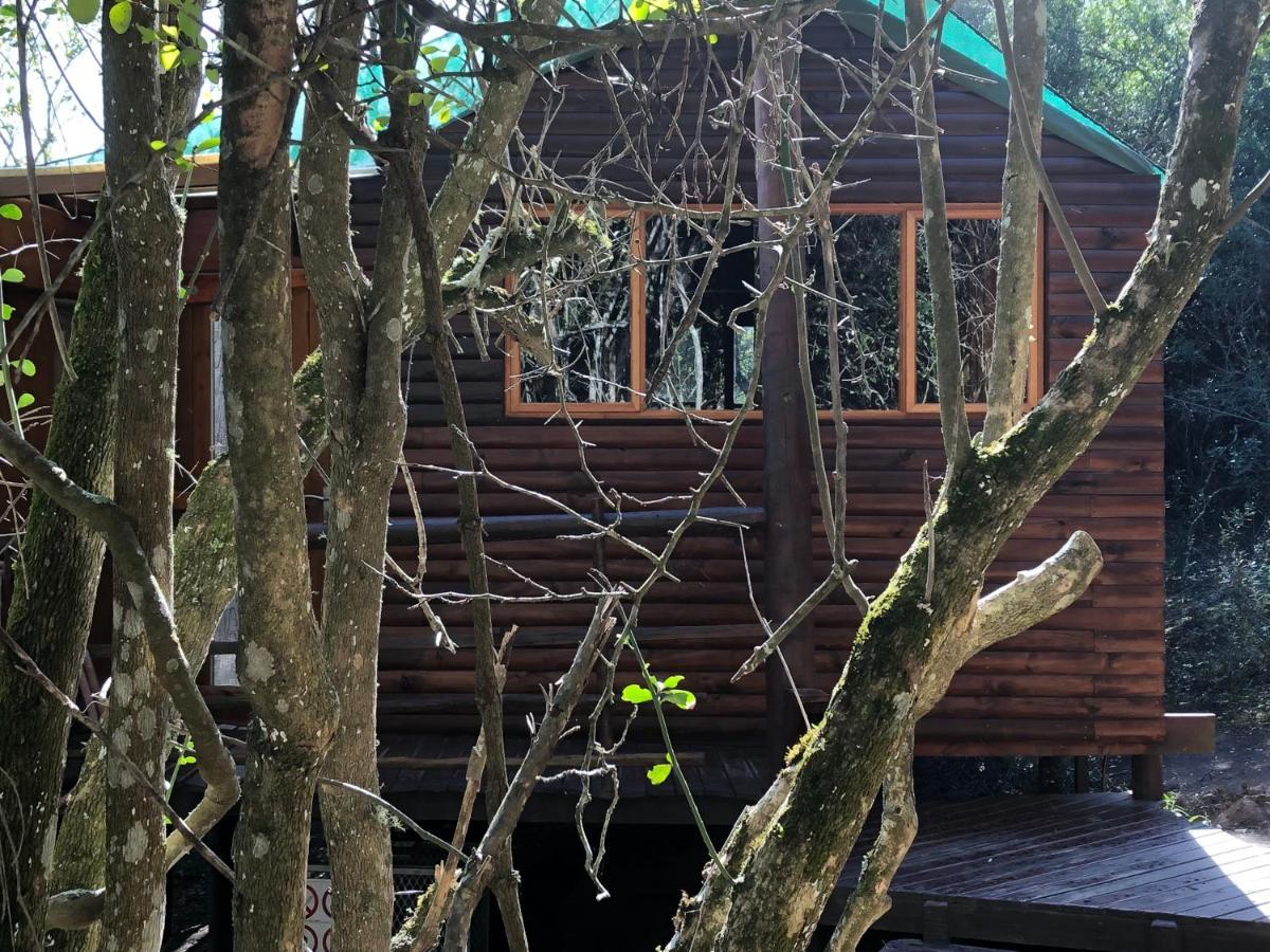 Teniqua Treetops Karatara Settlement Экстерьер фото