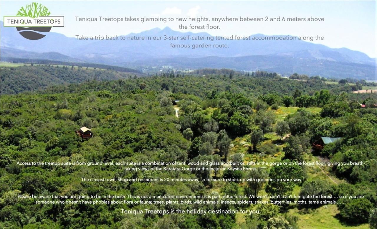 Teniqua Treetops Karatara Settlement Экстерьер фото