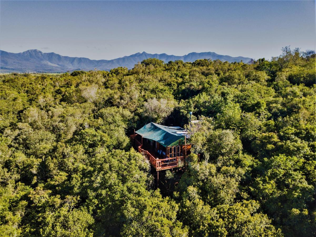 Teniqua Treetops Karatara Settlement Экстерьер фото