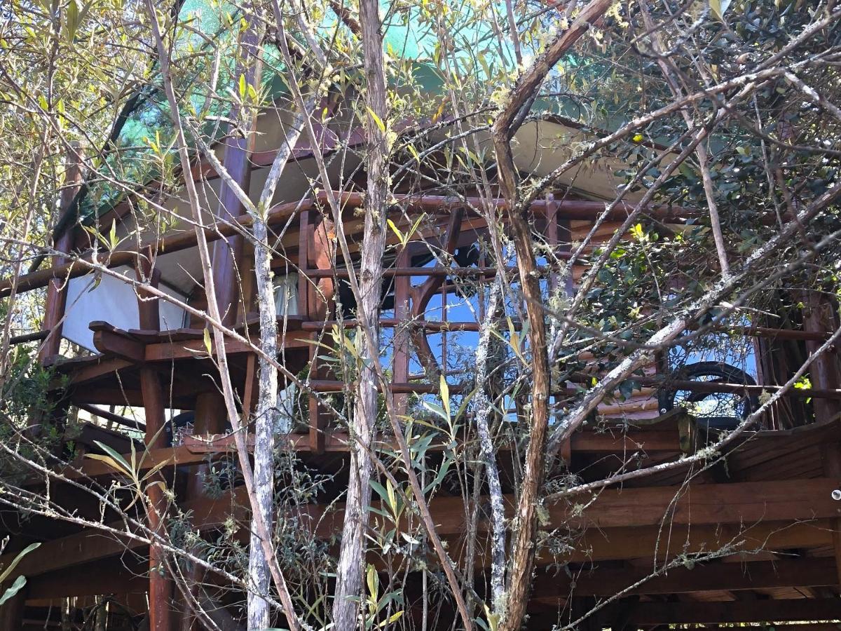 Teniqua Treetops Karatara Settlement Экстерьер фото