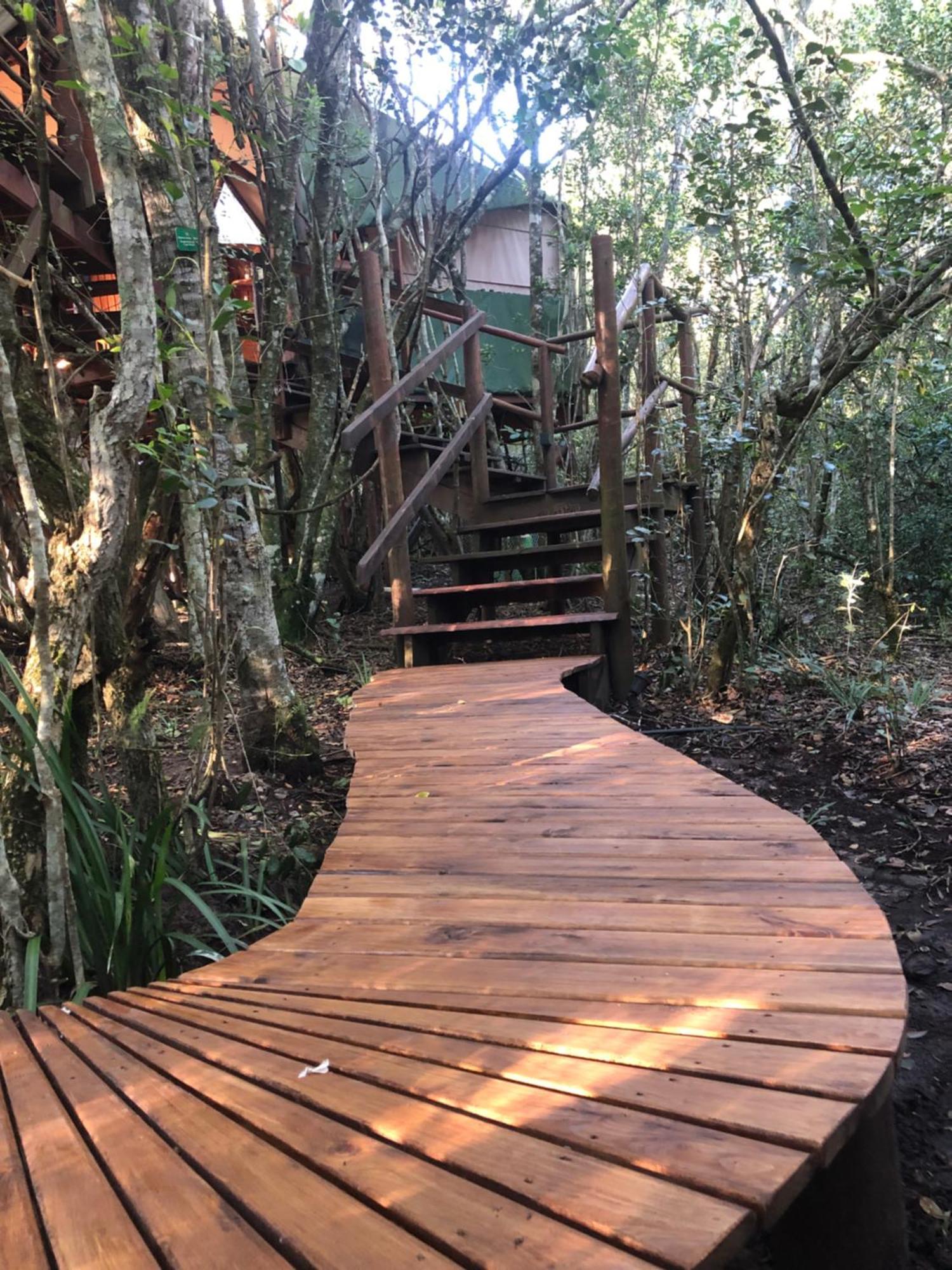 Teniqua Treetops Karatara Settlement Экстерьер фото