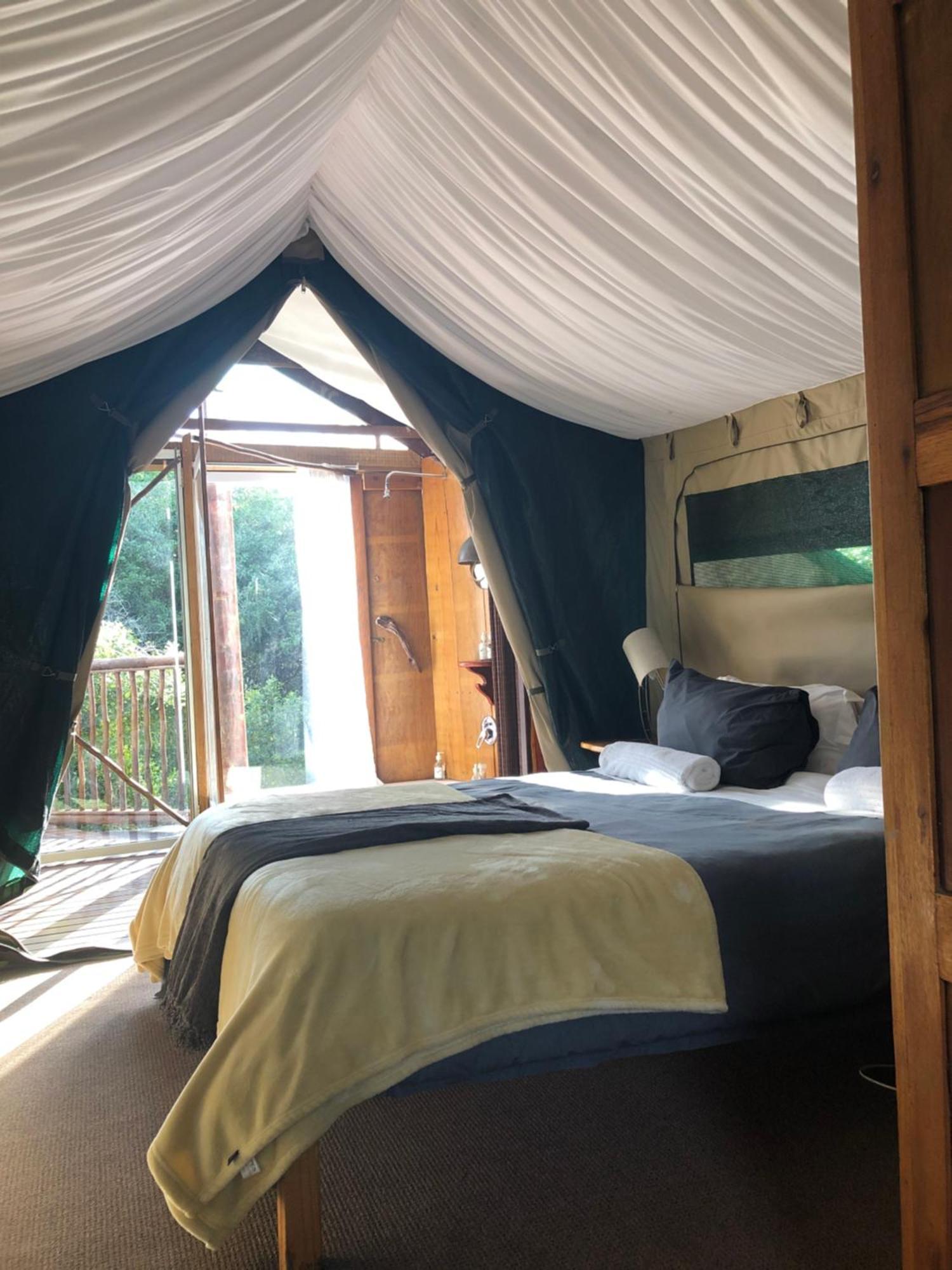 Teniqua Treetops Karatara Settlement Экстерьер фото