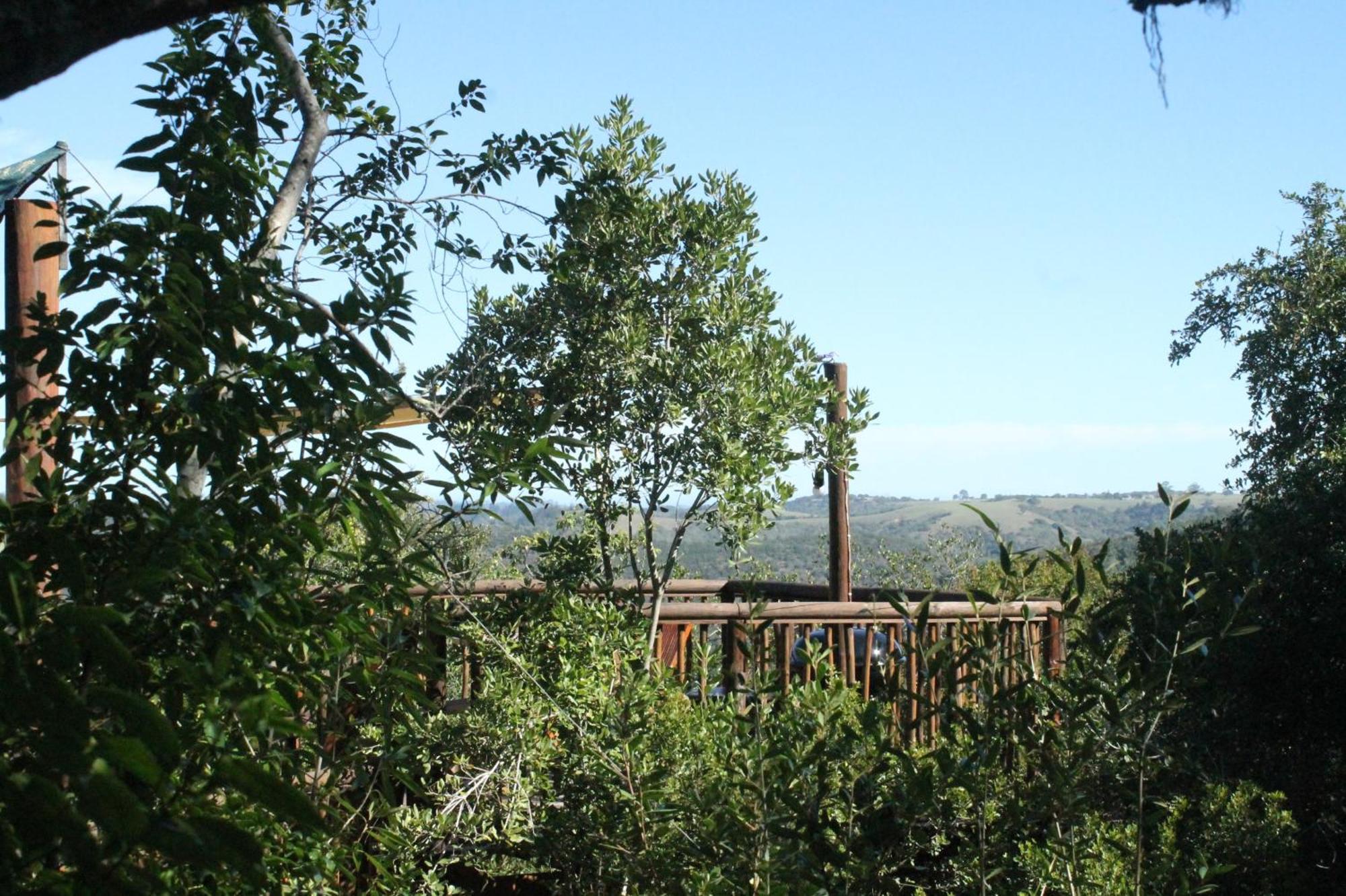 Teniqua Treetops Karatara Settlement Экстерьер фото