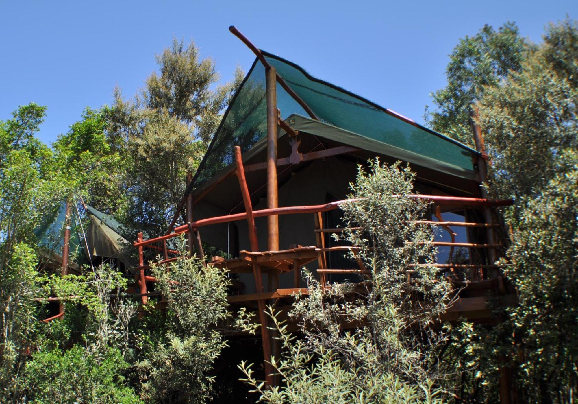 Teniqua Treetops Karatara Settlement Экстерьер фото