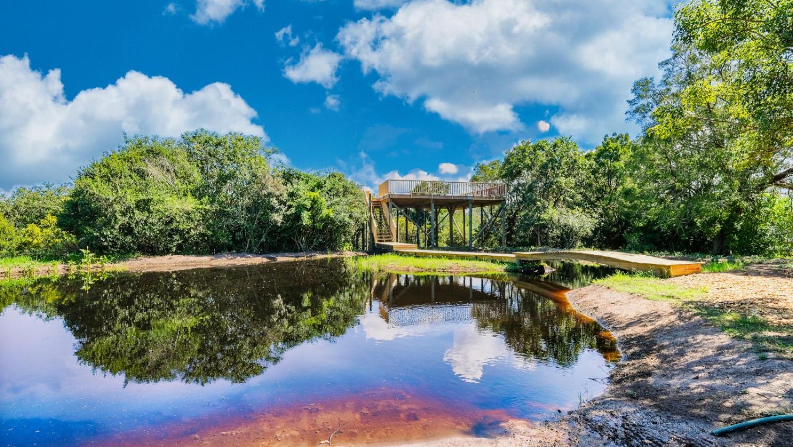 Teniqua Treetops Karatara Settlement Экстерьер фото