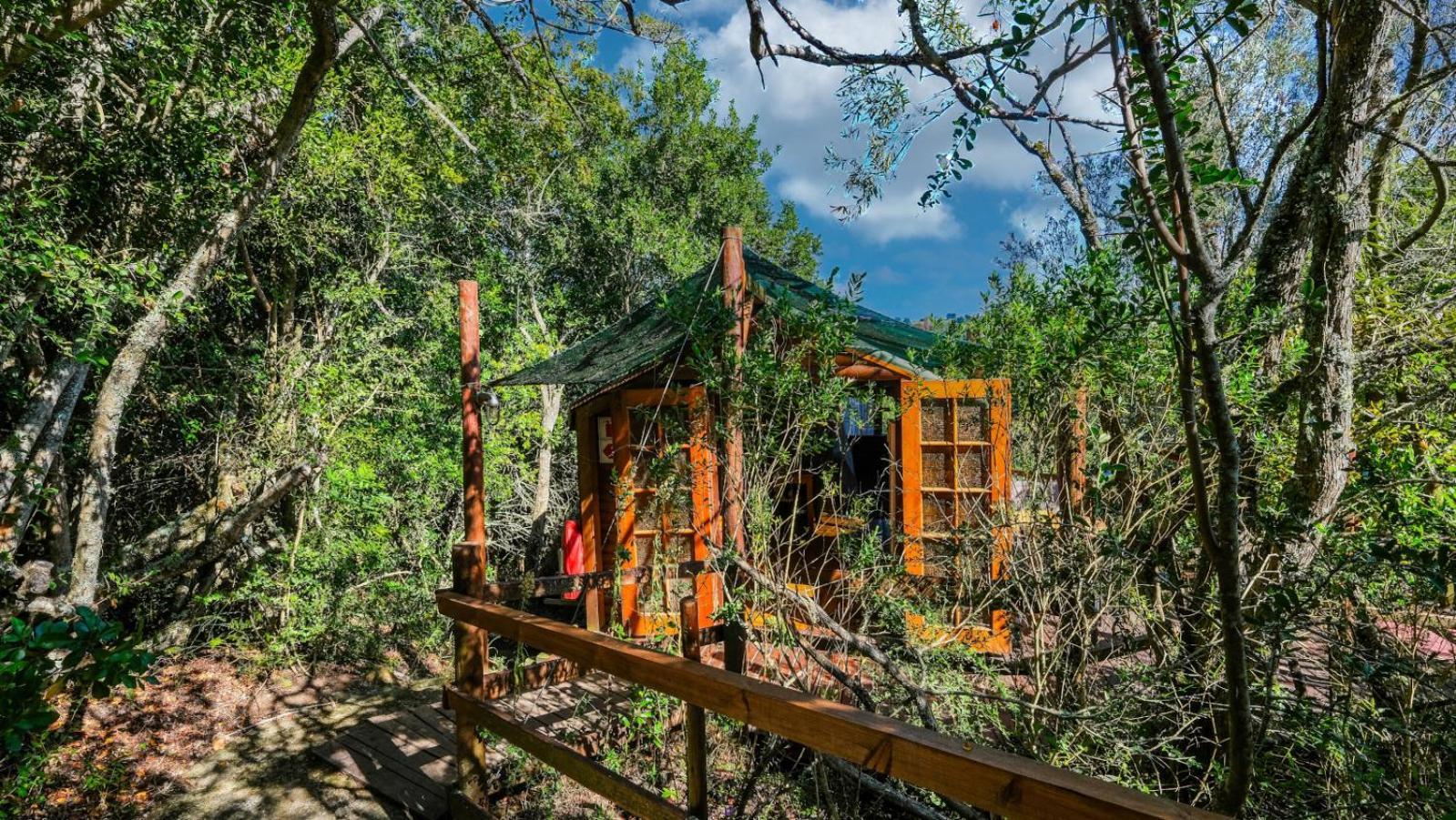 Teniqua Treetops Karatara Settlement Номер фото