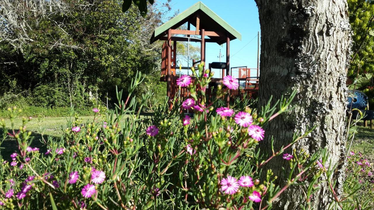 Teniqua Treetops Karatara Settlement Экстерьер фото